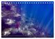 Thumbnail-12