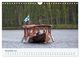 Thumbnail-13