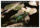 Thumbnail-13