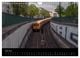 Thumbnail-11