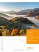 Thumbnail-49