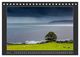 Thumbnail-8