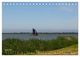 Thumbnail-11