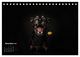 Thumbnail-14