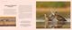 Thumbnail-11