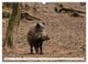Thumbnail-8
