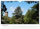 Thumbnail-13