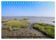 Thumbnail-11
