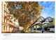 Thumbnail-14
