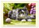 Thumbnail-9