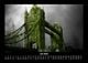 Thumbnail-11