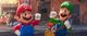 Thumbnail-10