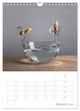 Thumbnail-13