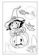 Thumbnail-6