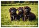 Thumbnail-9