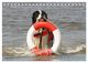 Thumbnail-14