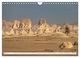 Thumbnail-14