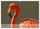 Thumbnail-12