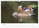 Thumbnail-10