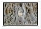 Thumbnail-13
