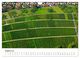 Thumbnail-10