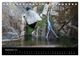 Thumbnail-11
