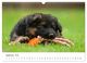 Thumbnail-11