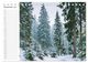 Thumbnail-14