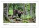Thumbnail-14