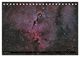 Thumbnail-10
