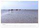 Thumbnail-11