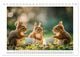 Thumbnail-11