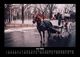 Thumbnail-10