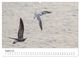 Thumbnail-12