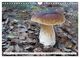 Thumbnail-14