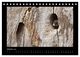 Thumbnail-12