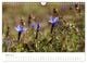 Thumbnail-8