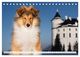 Thumbnail-11