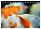 Thumbnail-12