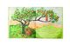 Thumbnail-4