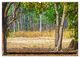 Thumbnail-8