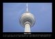 Thumbnail-12