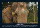 Thumbnail-12