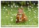 Thumbnail-11