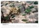 Thumbnail-11