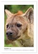 Thumbnail-14