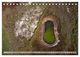 Thumbnail-10