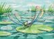 Thumbnail-3