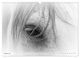 Thumbnail-13