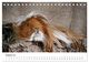 Thumbnail-10